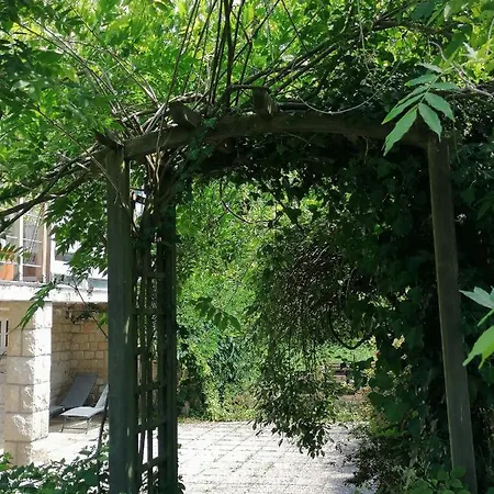 Bamboo &