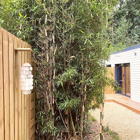 Bamboo &